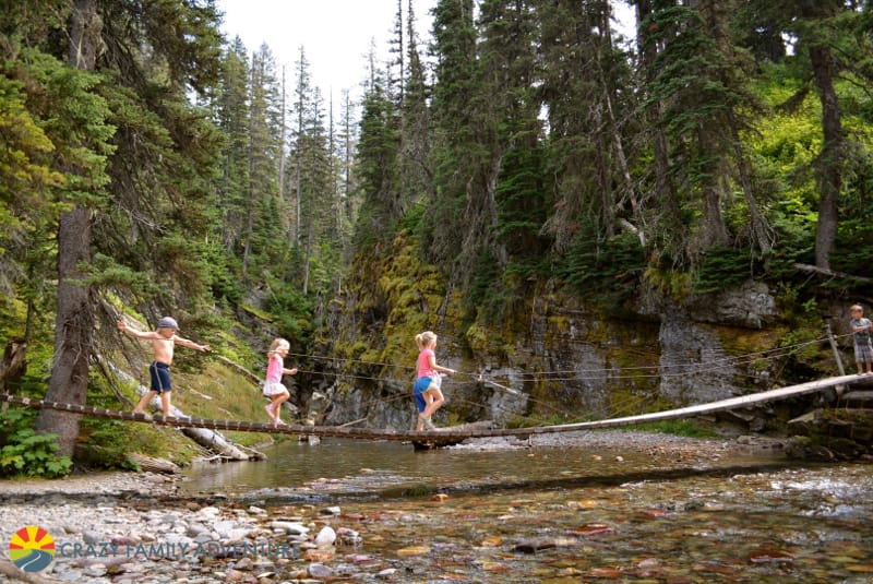 Sweet suspension bridge along the way to Grinnell Lake in Glacier National Park