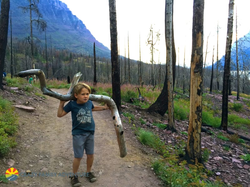 Cannon hiking along the trail to St Mary Falls, our second favorite of the hikes in Glacier National Park with kids