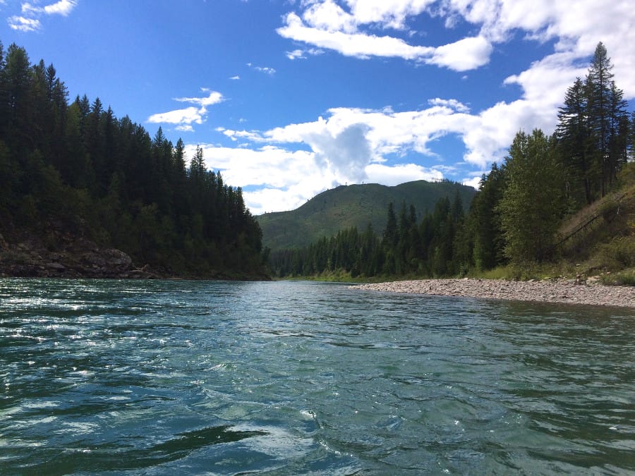 The Flathead River with Montana Raft