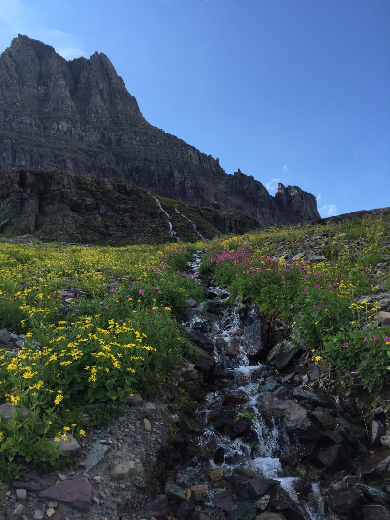 Views from Hidden Lake trail in Glacier National Park