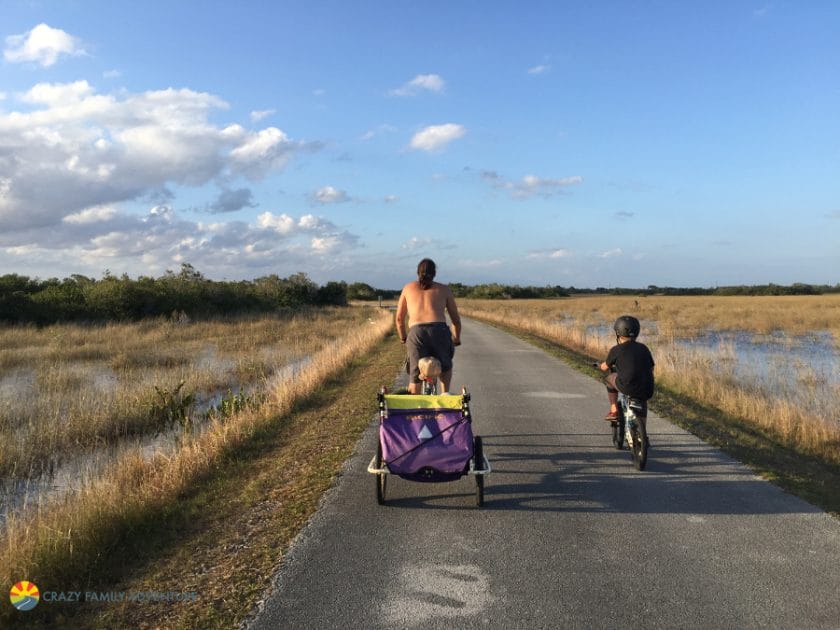 Biking through Shark Valley in the Everglades on The Ultimate Florida Road Trip