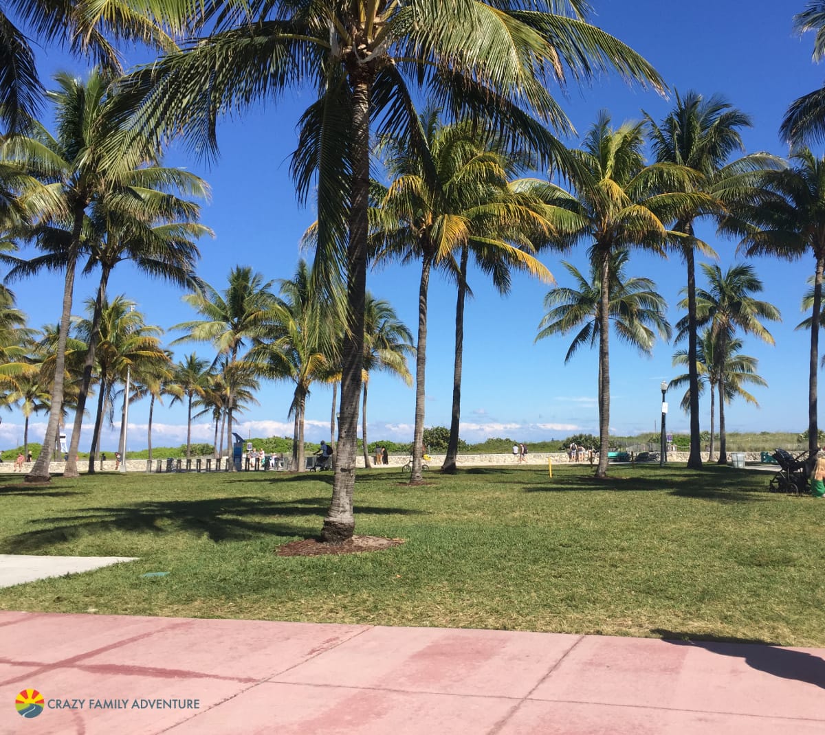 Visit South Beach in Miami 