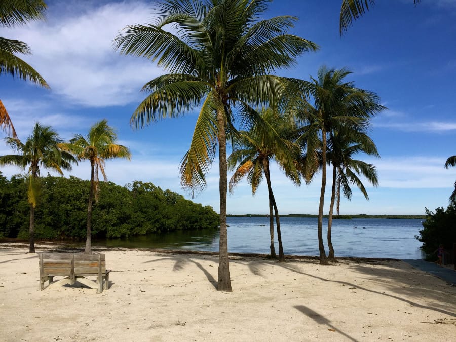 John Pennekamp Beach on The Ultimate Florida Road Trip