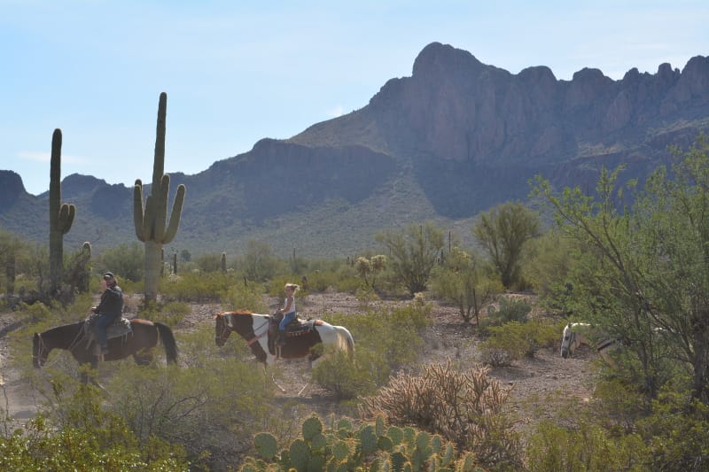 Things to do in Tucson with kids - horseback riding at white stallion ranch