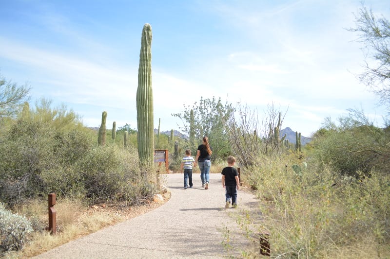 Arizona-Sonora Desert Museum should be on your list of things to do in Tucson with kids