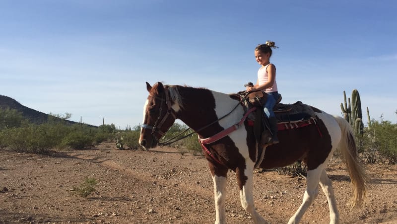 Riding a horse in the Tucson desert