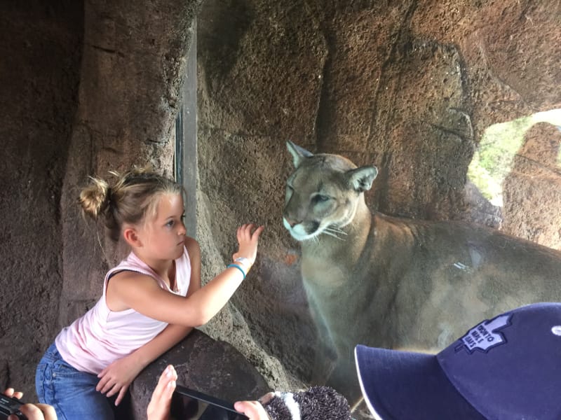 Tucson's Arizona Sonora Desert Museum