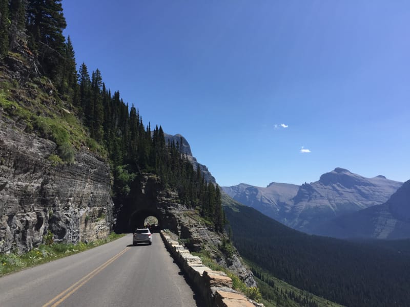 The going to the sun road is one of our favorite things to do in Glacier national park with kids