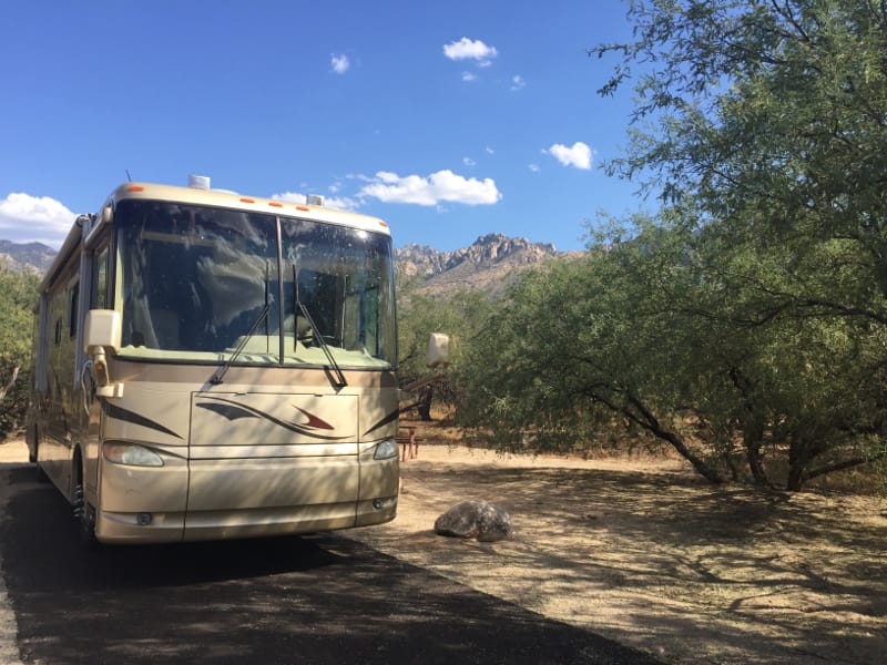 Stay at Catalina State Park campground with your RV in Tucson