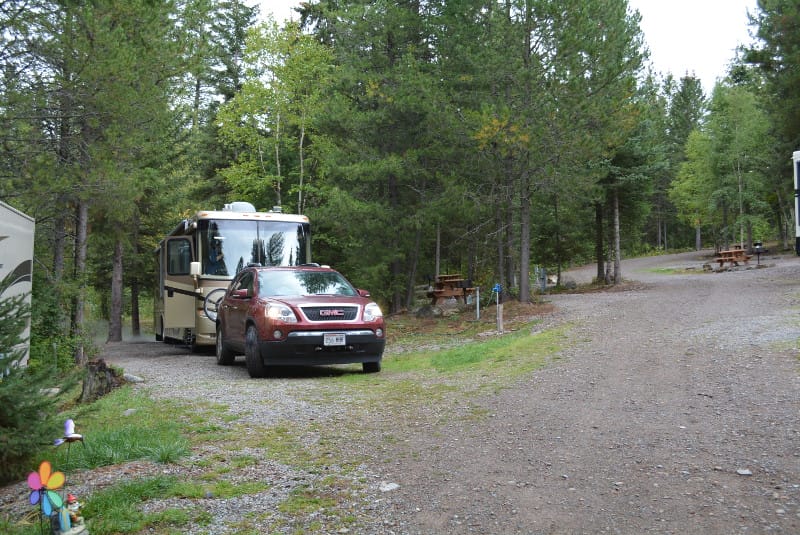 Timber Wolf Resort