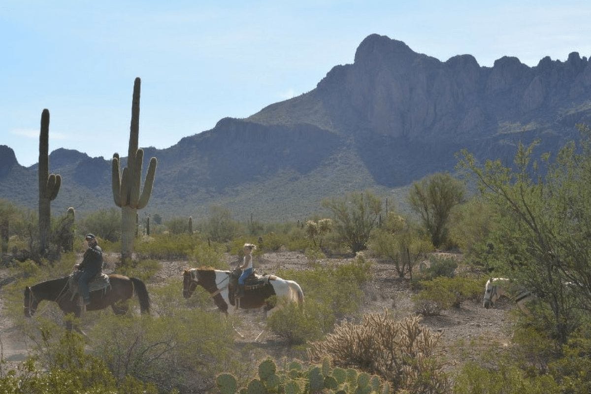 In Tucson With Kids