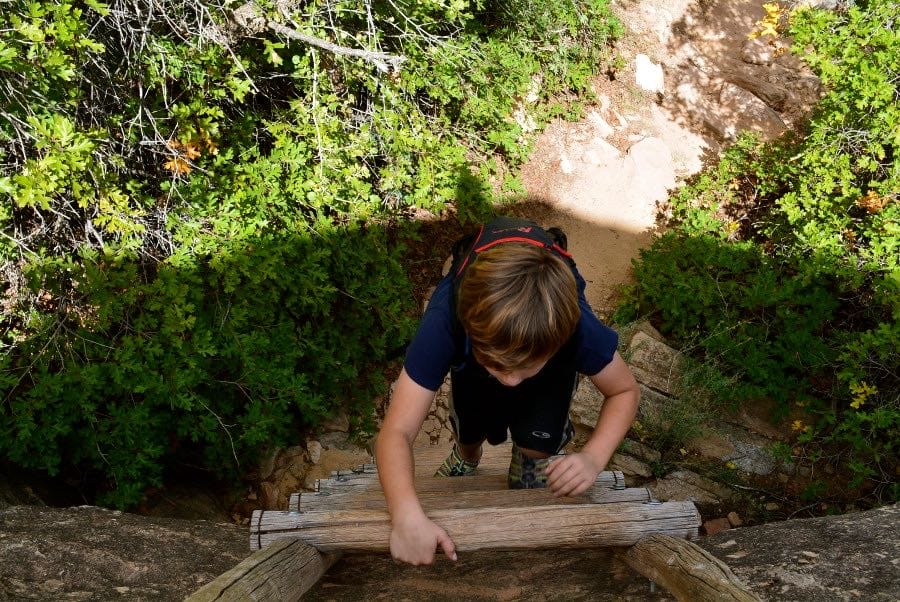 Great hikes in Canyonlands National Park include climbing ladders