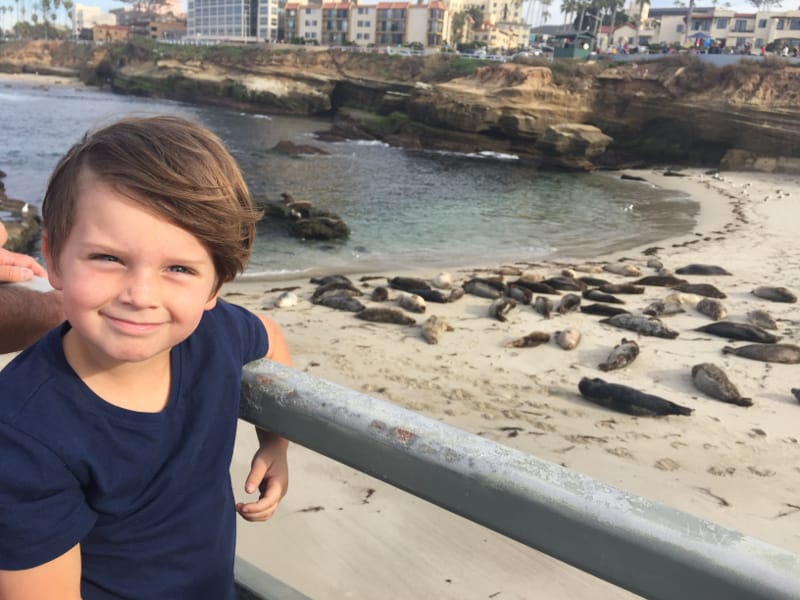 Knox at La Jolla Beach