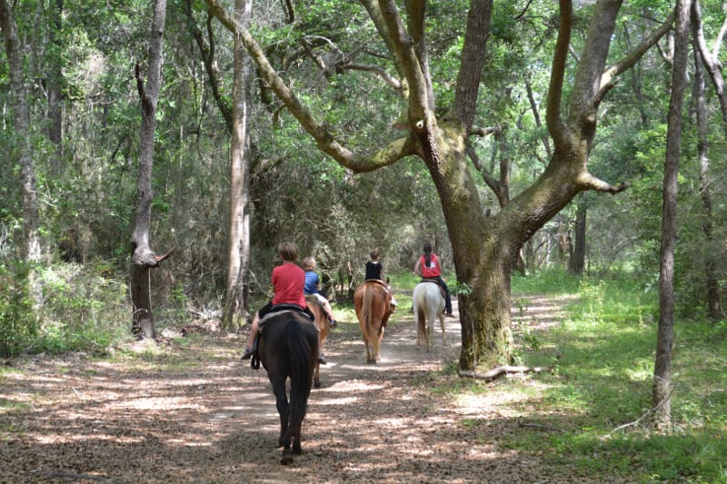 Another fantastic Gulf Shores attraction is horseback riding at Oak Hollow Farms.