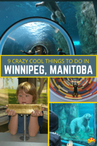 From Polar Bears to Human Rights to a $750,000 gold bar you can hold you don't want to miss this list of crazy cool things to do in Winnipeg!