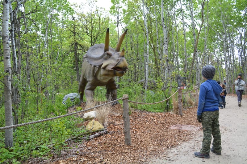 Assiniboine Park Zoo Dinosaurs!