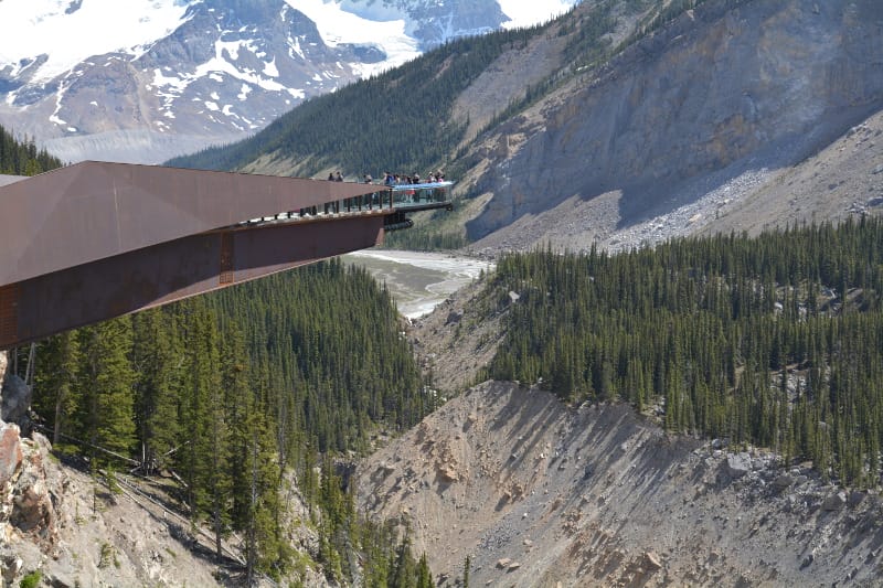Look down 100 feet to the bottom of the valley on the Glacier Skywalk in Jasper National Park