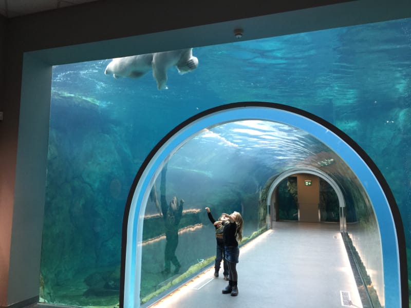 Things to do in Winnipeg - Assiniboine Park Zoo