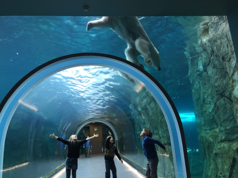 Assiniboine Park Zoo