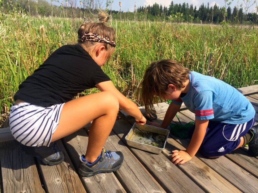 Explore the creatures in Ominik Marsh with this fun kit at Riding Mountain National Park