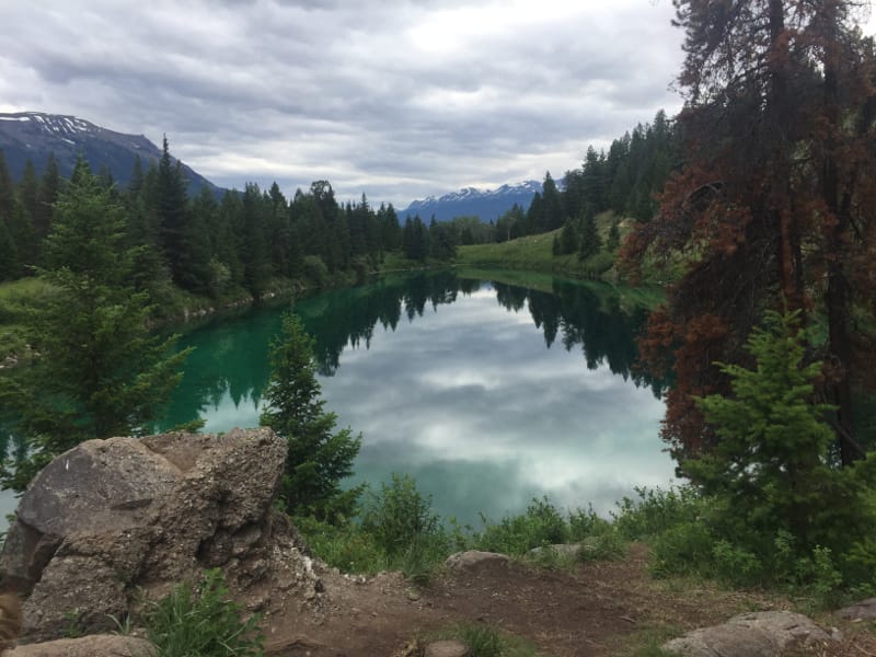 One of the lakes on the Valley of 5 Lakes in Jasper National Park