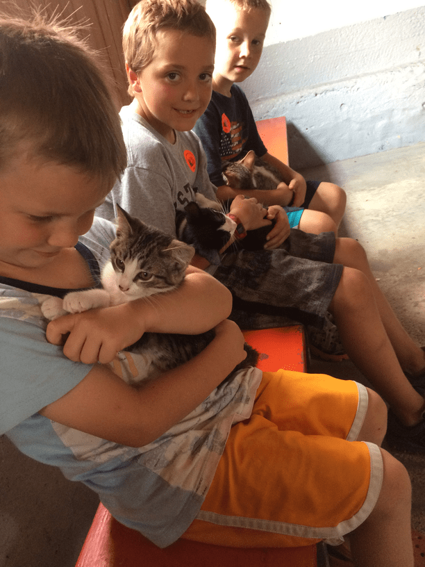 Kids holding kittens at Green Meadows Farm