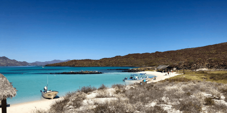 53+ Amazing Things To Do In Baja California