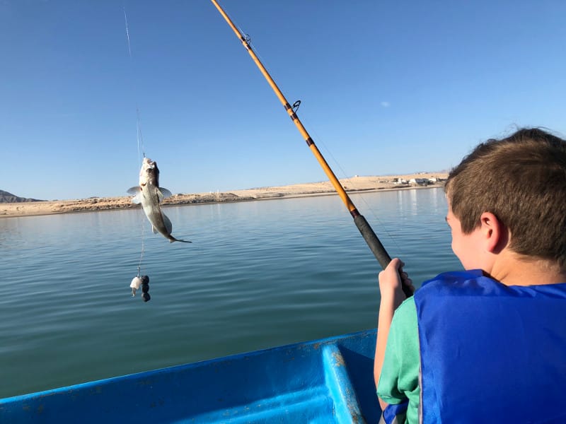 Fishing in San Felipe