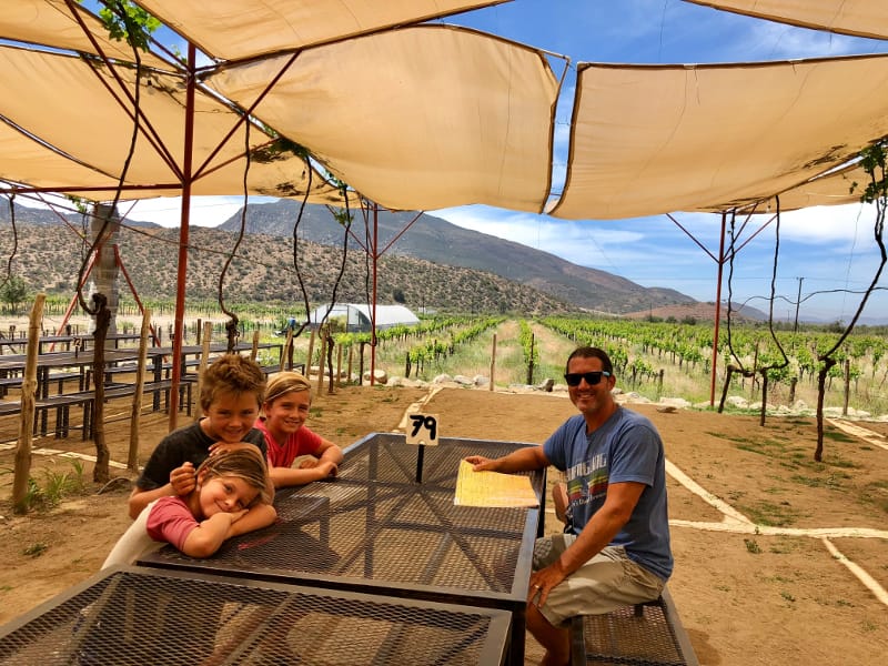 Valle de Guadalupe - Wine Region