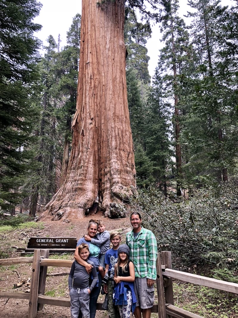 General Grant Tree in King's Canyon National Park