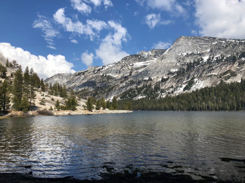 Tuolumne Meadows