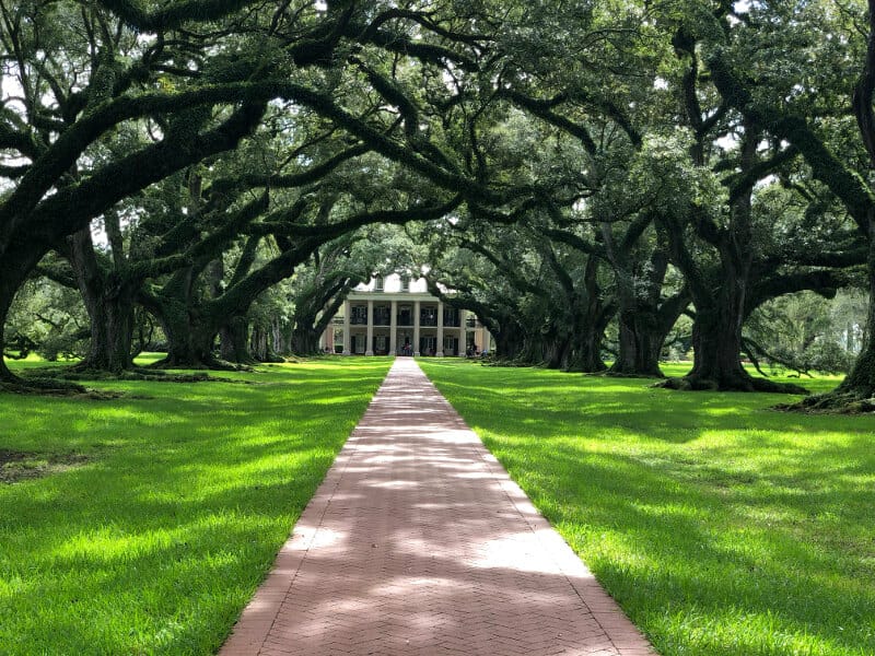 alley of oaks best plantation tour