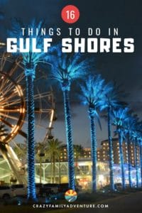 16 Brilliant Things To Do In Gulf Shores, Alabama from Alligators to Dolphins and Castles and Farms this is your complete guide to a great time!