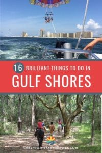 16 Brilliant Things To Do In Gulf Shores, Alabama from Alligators to Dolphins and Castles and Farms this is your complete guide to a great time!