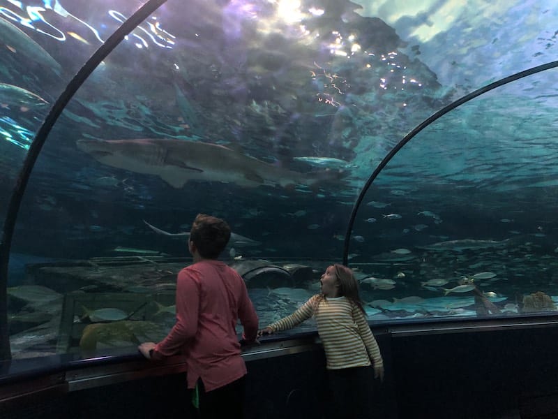 Ripley's Aquarium