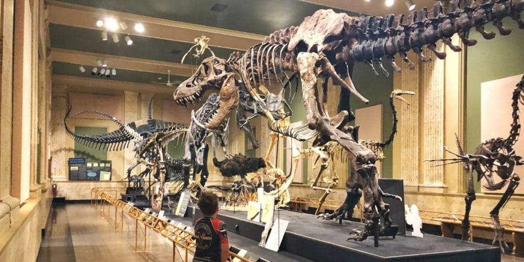 Kenosha Dinosaur Museum, things to do in Wisconsin in winter.
