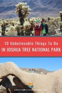 We love that there are so many unbelievable things to do in Joshua Tree National Park. From hiking to rock climbing to stargazing we've got your guide to 10 of the coolest things to see and do!