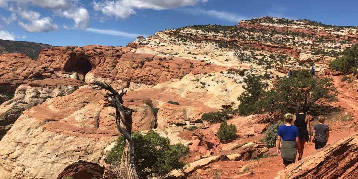 capitol reef national park hikes