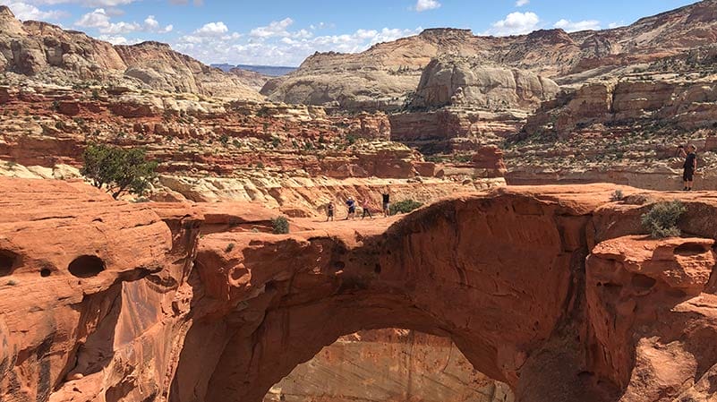 Cassidy Arch Trail Arch in Capitol Reef