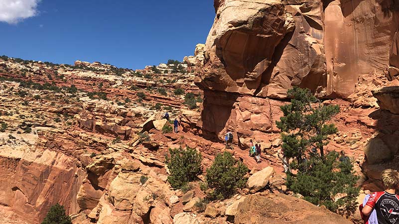 Hiking trails capitol outlet reef national park