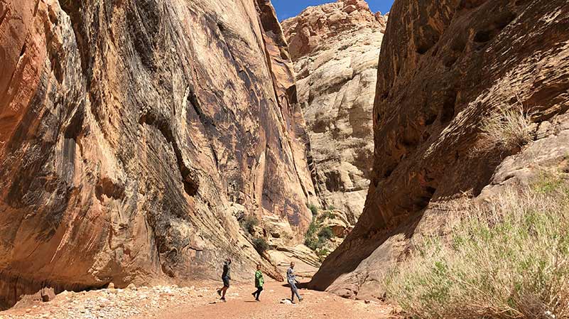 Best Hikes in Capitol Reef National Park - Grand Wash Trail