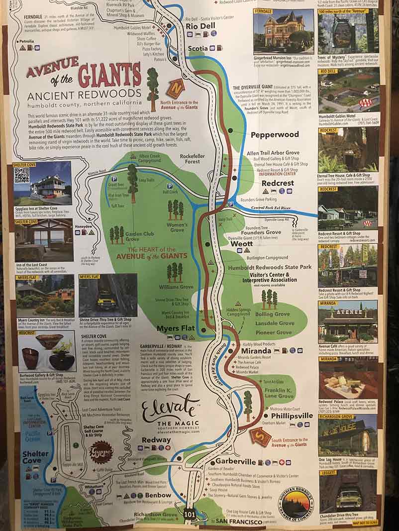 Avenue of the giants map