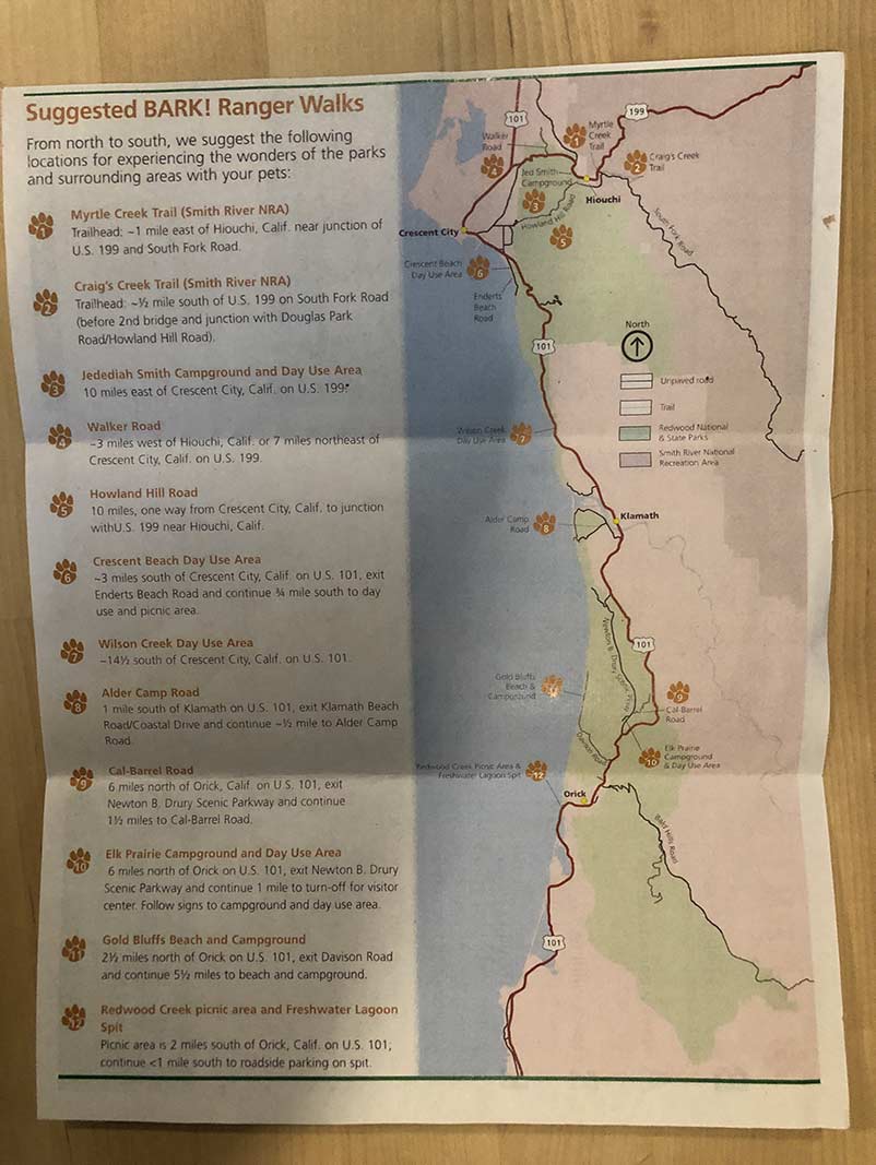 Info on Dogs in the Redwoods