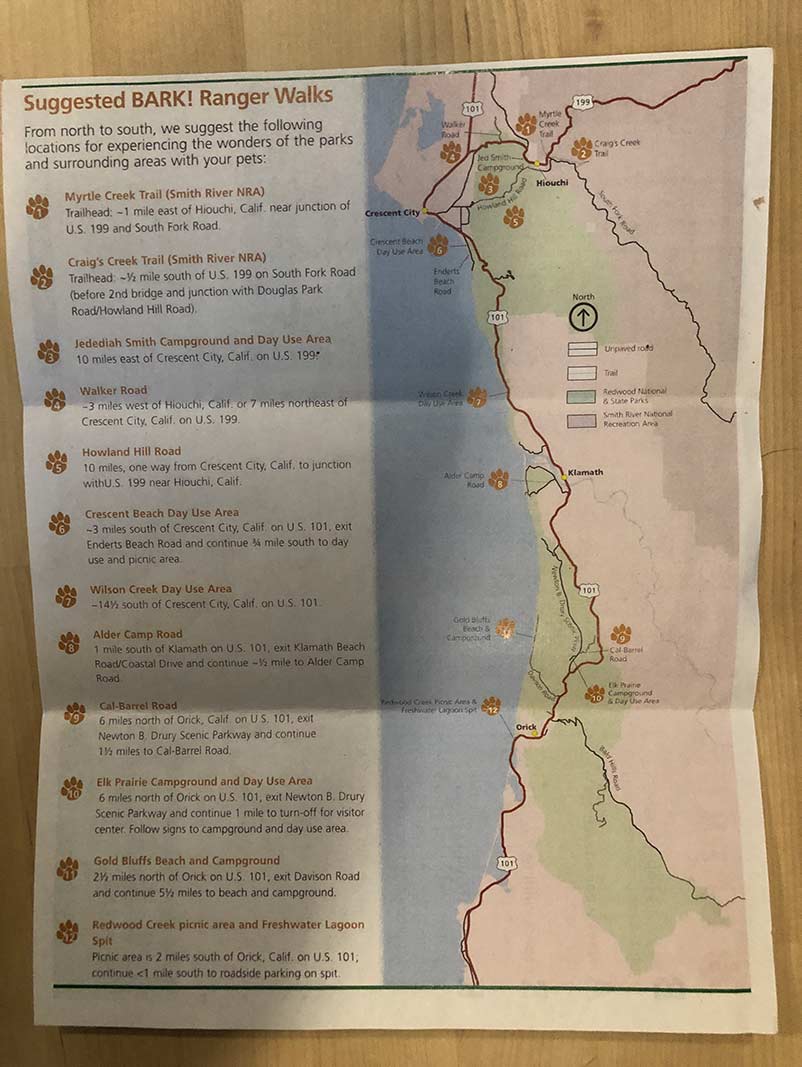 Info on Dogs in the Redwoods
