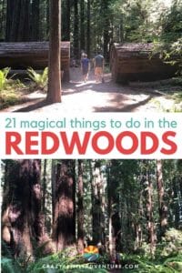 Redwood National Park is huge and encompasses several smaller parks. We will help you navigate to the best places to see and enjoy the majestic Redwoods!