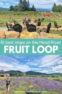 The Hood River Fruit Loop is an awesome Loop where you can taste fresh ciders, pick your own fruit and more. We’ll tell you our top 10 great places to stop!