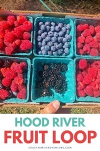The Hood River Fruit Loop is an awesome Loop where you can taste fresh ciders, pick your own fruit and more. We’ll tell you our top 10 great places to stop!