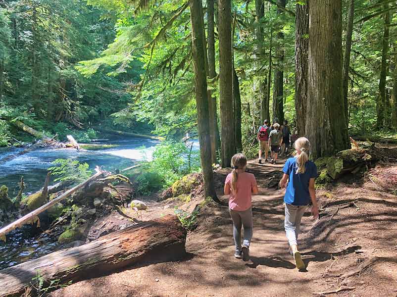 Hiking in the McKenzie River area