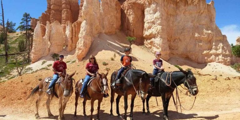 Top 11 Awesome Things To Do in Bryce Canyon National Park
