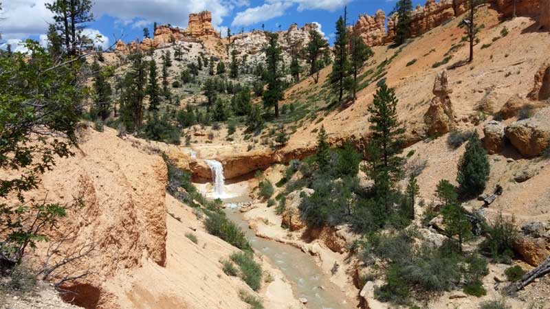 Mossy Cave Trail